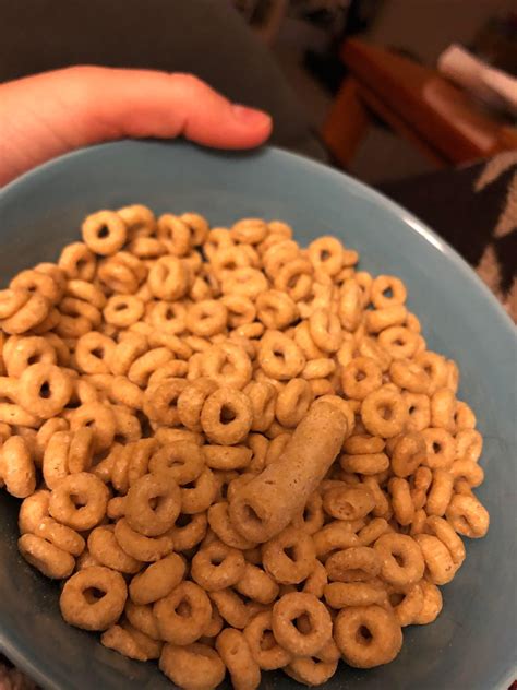 Im In Awe Of The Size Of This Cheerio Rabsoluteunits