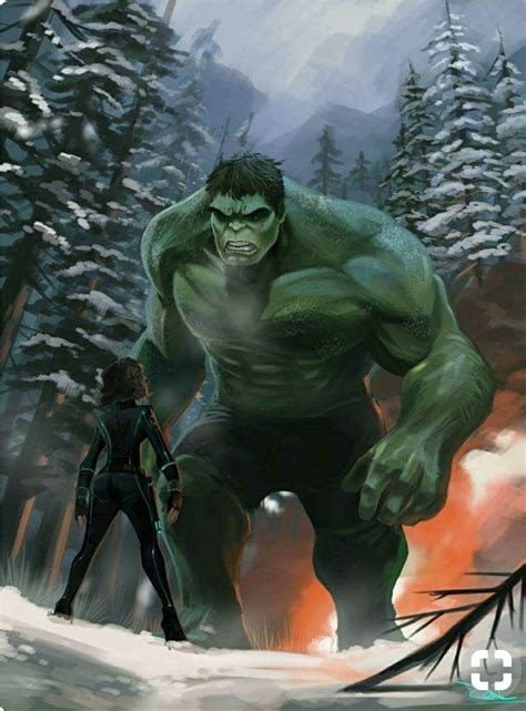 Hulk And Black Widow Heróis De Quadrinhos Super Herói Hulk