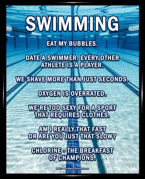 17 Best Images About Swim Quotes On Pinterest Count Pools And Swim