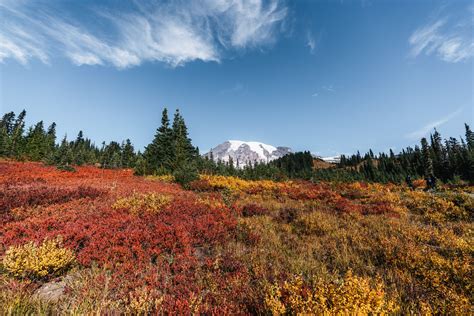 A Fall Weekend In Mt Rainier National Park Aspiring Wild