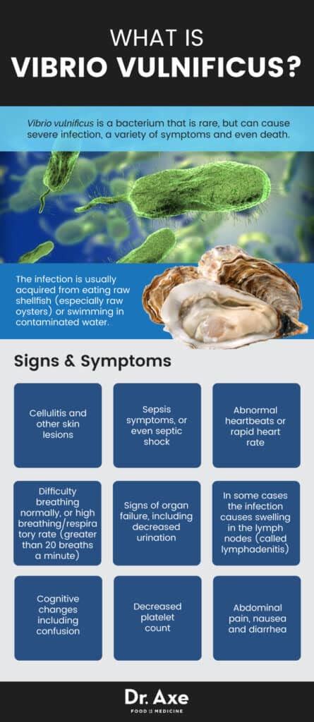 Vibrio Vulnificus Causes Symptoms And Natural Protection Dr Axe