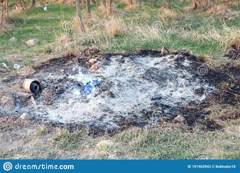 Pile Of A Burnt Rubbish Near The Trees Stock Image Image Of Fire