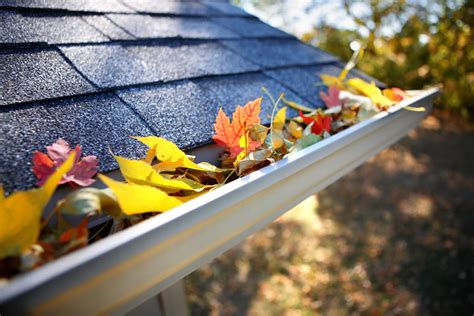 Cleaning Your Gutters This Fall Sonrise Services Llc