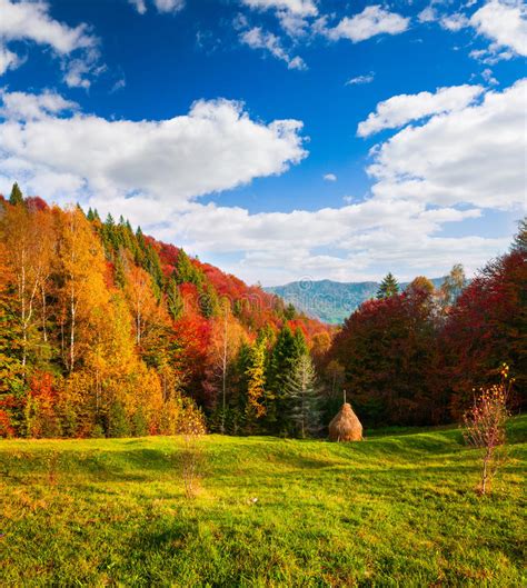 Colorful Autumn Landscape In The Carpathian Mountains Stock Image