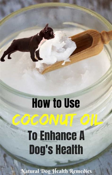 Check spelling or type a new query. Coconut Oil Benefits for Dogs | Uses and Dosage