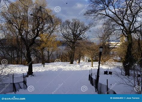 Fort Tryon Park Winter Editorial Photography Image Of Ted 66066402