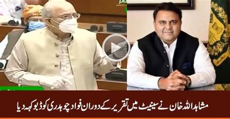 Mushahid Ullah Khan Calls Fawad Chaudhry Dabbu During His Speech In