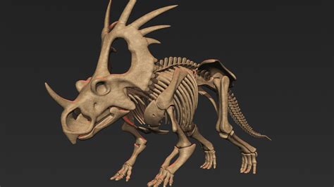 Esqueleto Estiracossauro Modelo 3D - TurboSquid 1228764