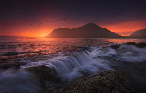 Wallpaper Sea Sunset Mountains Birds Seagulls Norway Norway The