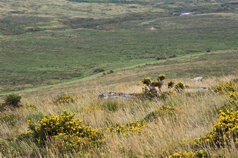 Dartmoor Faoch Flickr