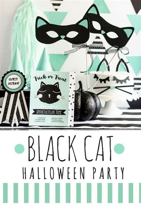 Black Cat Halloween Party Ideas Black Cat Halloween Halloween Party