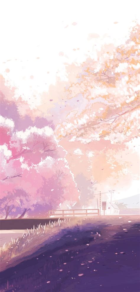 Sakura Blossom Anime Wallpaper