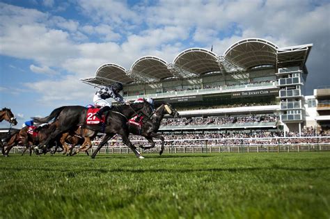 Newmarket Racecourses Eager To Host The Guineas Once Sport Gets Green Light To Resume