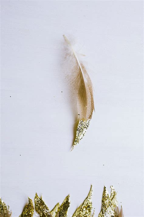 A Single Gold Dipped Feather Del Colaborador De Stocksy Alita