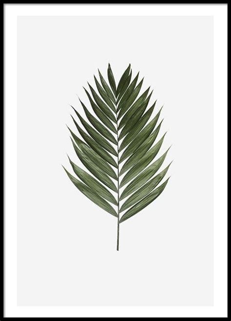 From wikimedia commons, the free media repository. Palm Leaf, Poster