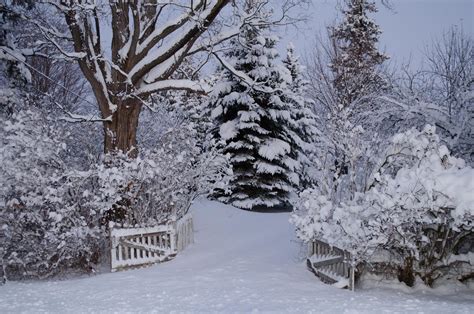 Winter Wonderland Snow · Free Photo On Pixabay