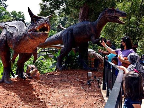 Viral video tik tok berlatar adegan mesum, ternyata pelaku masih berumur 14 tahun. Dino Merah Tiktok Hd : Foto Dino Kuning yang Sedang Viral ...