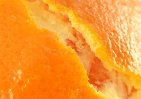 Orange Skin Stock Photo Image Of Health Fruit Skin 23773168