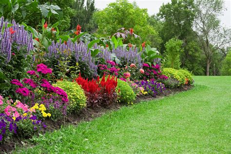 How to create a pollinator garden | Petitti Garden Centers