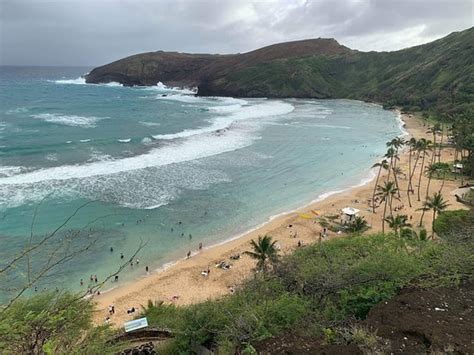 The walk down to hanauma bay from the parking lot can be steep, so leave the cooler behind. Hanauma Bay Nature Preserve (Honolulu) - All You Need to ...