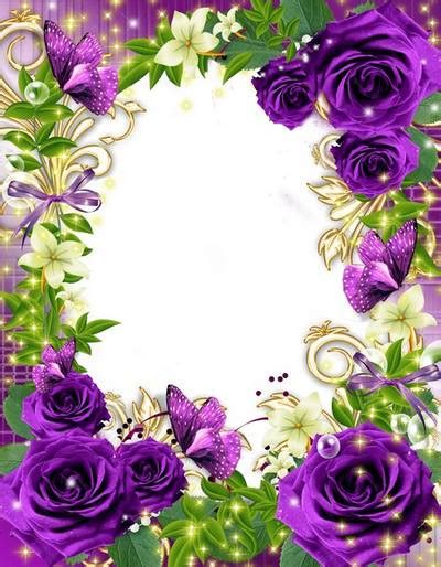 Flower Frame Purple Rose A Mysterious Color