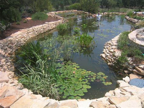 Before settling on a specific size, you will need to consider long term factors such as the growth rate of your koi. kingsnake.com photo gallery > Fish Ponds > 26,000 gallon ...