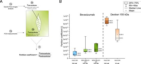 Cellular Uptake Of Bevacizumab In Cervical And Breast Cancer Cells