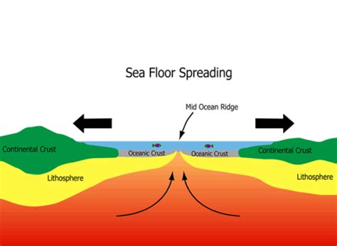 Seafloor Spreading And Plate Boundaries Floor Roma
