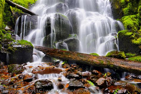 Fairy Falls In Columbia River Gorge In Oregon Oregon Photo
