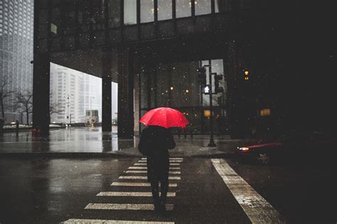 Umbrella Rain Person