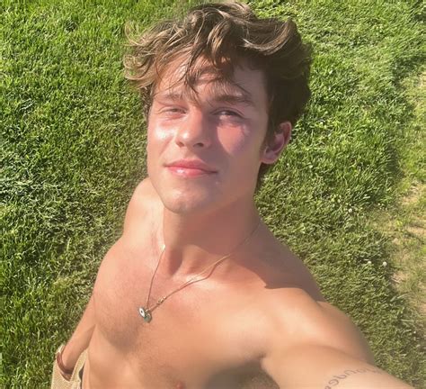 alexis superfan s shirtless male celebs shawn mendes shirtless ig story pics