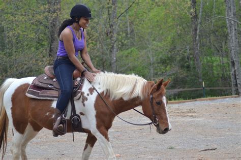 When Should You Start Horseback Riding Lessons Horse Rookie