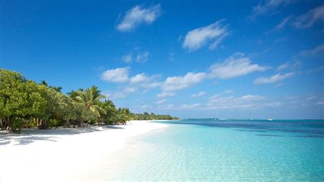 Maldives is a group of islands in the indian ocean not very far from india. Pourquoi malgré les paysages paradisiaques, il ne faut pas ...