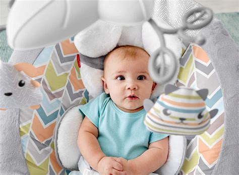 Fisher Price My Little Snugapuppy Deluxe Bouncer Square Imports