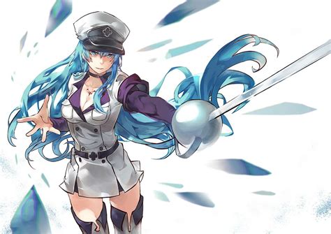 Akame Ga Kill Anime Girls Esdeath Thigh Highs Hd Wallpapers Desktop And Mobile Images And Photos