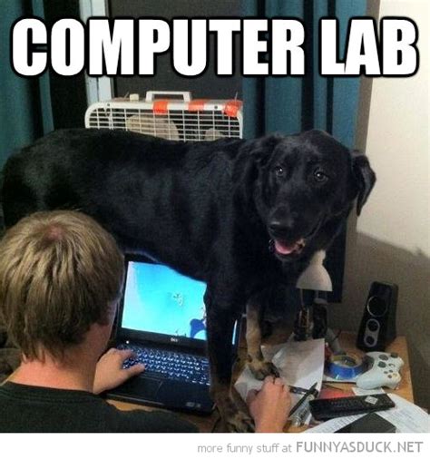 A Real Computer Lab Puns Pinterest Funny Computer Labs And Humor