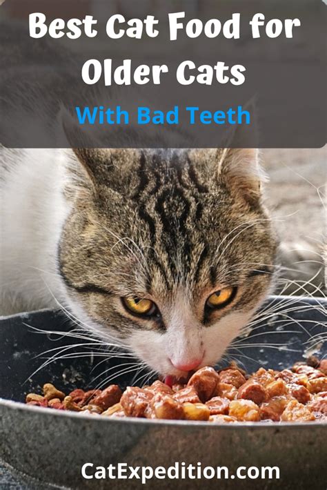 They are also balanced and complete to provide all the necessary nutrients that cats require. Best Cat Food for Older Cats with Bad Teeth | Best cat ...