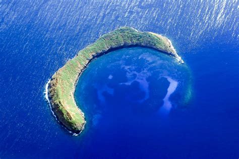South Maui Molokini And Turtle Town Snorkeling Tour Getyourguide