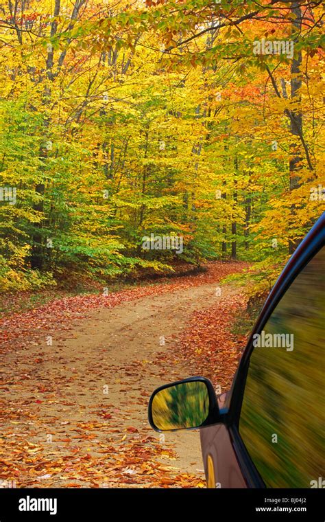 Gravel Road Leading Through Autumn Colors Stock Photo Alamy