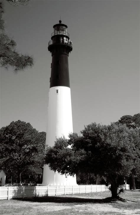 Hunting Island Lighthouse South Carolina Bw Vertical Photograph By Bob
