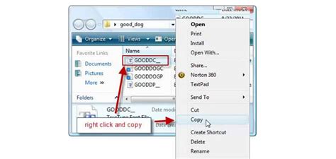 There are three text rendering modes: How to add fonts to Paint.NET quickly and with no effort