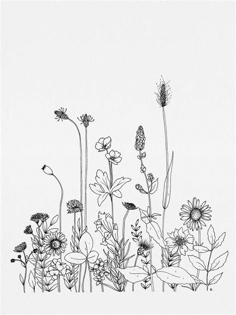 Wildflowers Art Print By Wildbloom Art X Small Wildflower Drawing