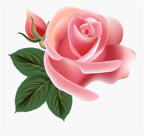 Pin By Татьяна Саенко On Фотошоп Pink Rose Flower Clip Art Free