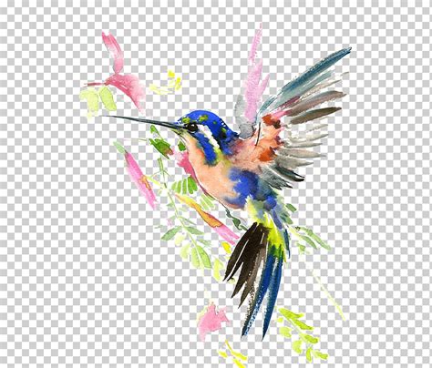 Dibujo De Acuarela De Colibrí Colibrí Pintura De Pájaro Azul Y Rosa