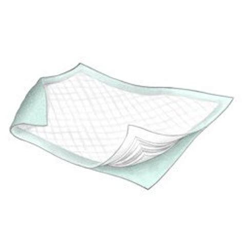 Disposable Incontinence Bed Pads Size 17x24 300case