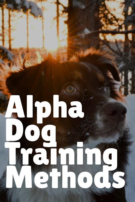 What Exactly Are Alpha Dog Training Methods Alpha Trained Dog