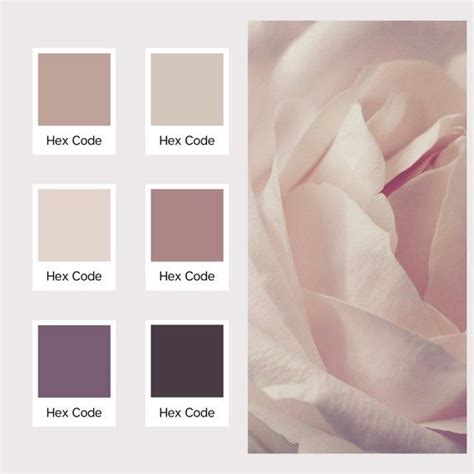Dusty Rose Color Palette Boho Color Palette Branding Color Etsy