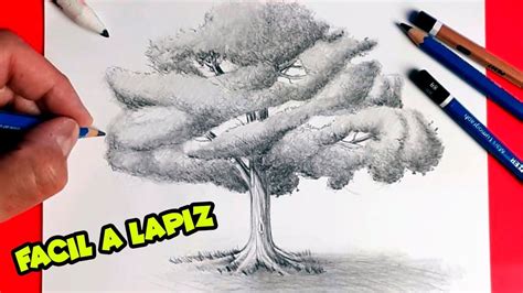 Como Dibujar Un Arbol Paso A Paso Facil How To Draw A Tree Arbol A