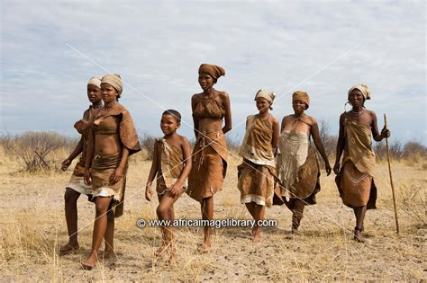 photos and pictures of naro bushman san women walking central kalahari botswana the