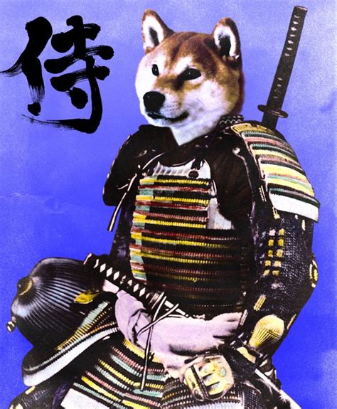Samurai Doge Wallpaper Enwallpaper